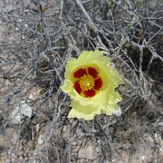 Baja2011 537 : Baja2011